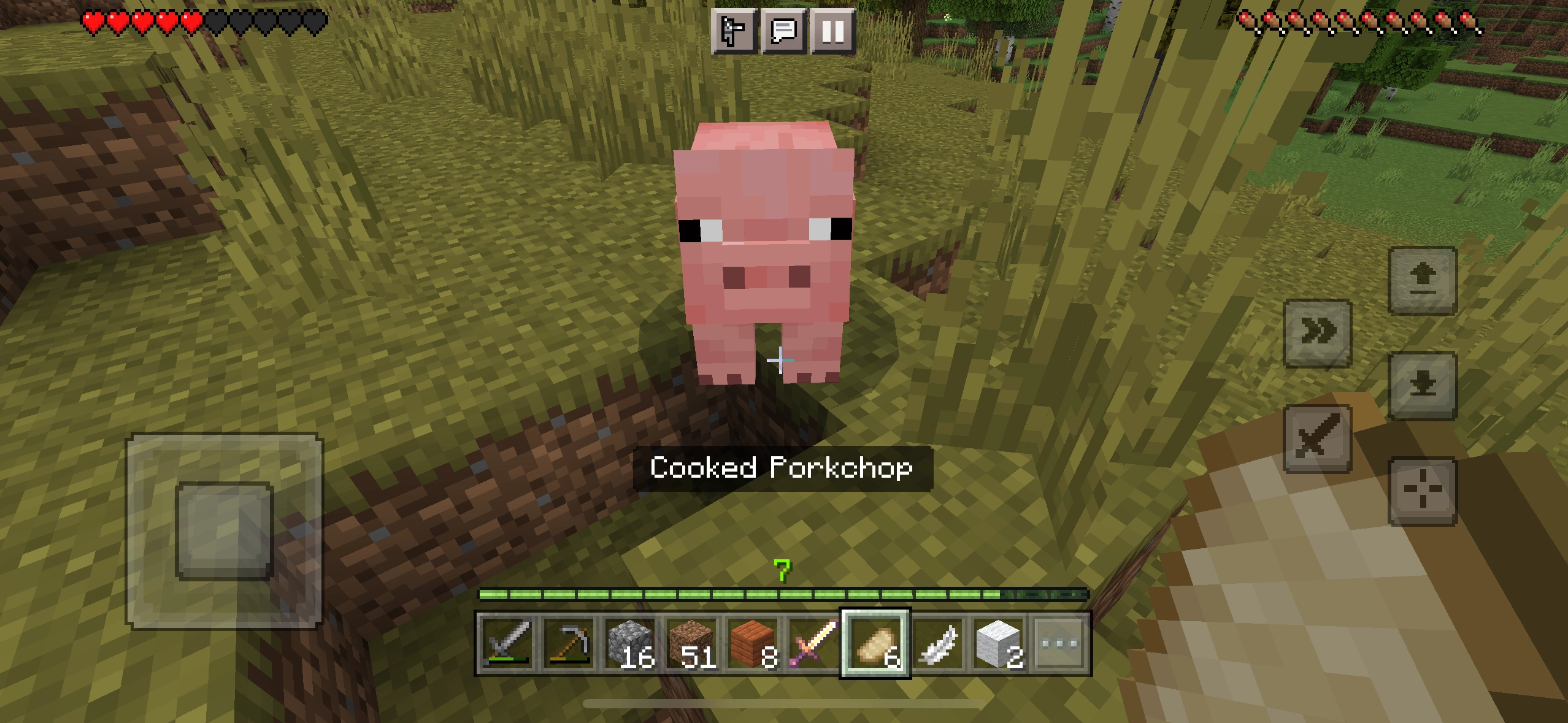 Minecraft pig build
