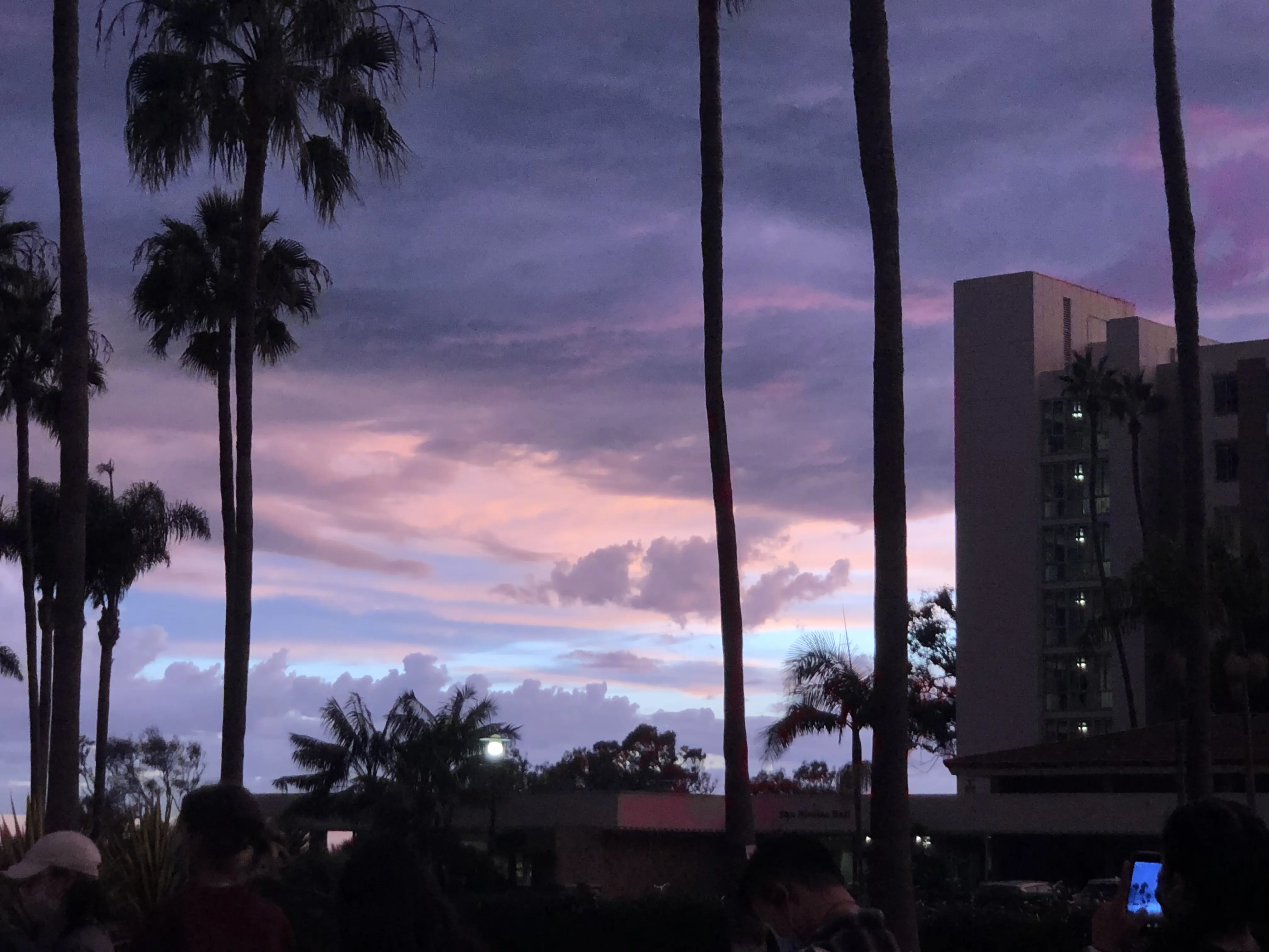 Golden hour sunset